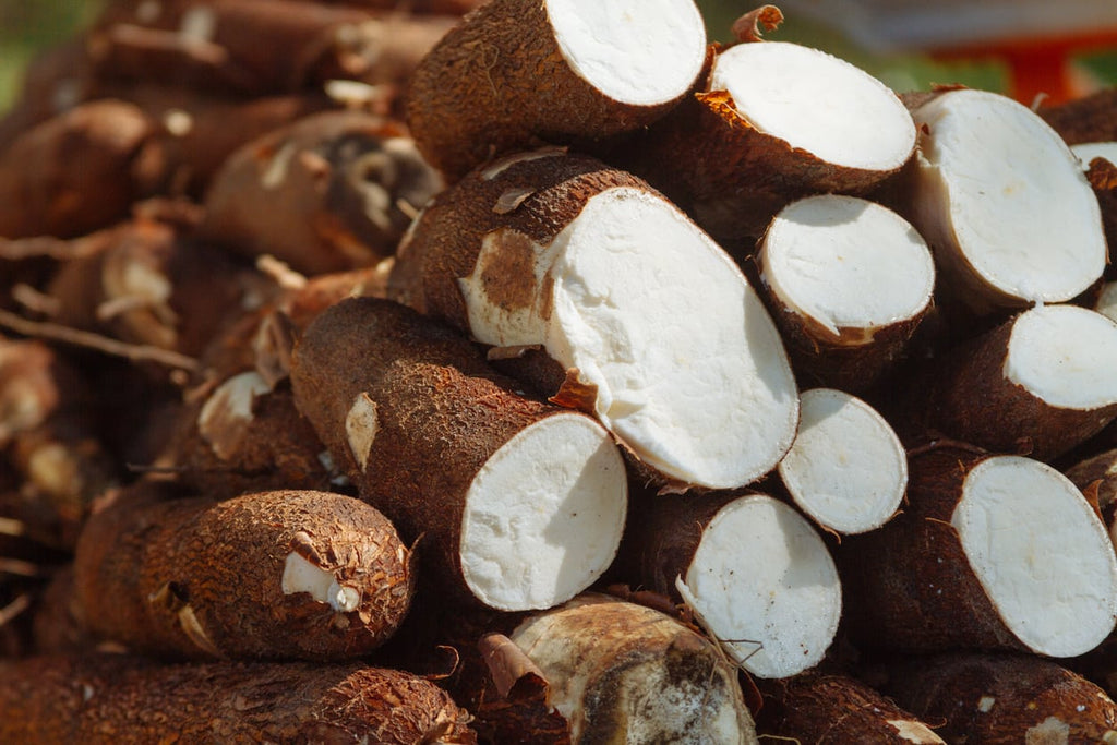 How this Farmer intercropped Tapioca in his Coconut Grove