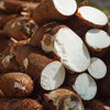 How this Farmer intercropped Tapioca in his Coconut Grove