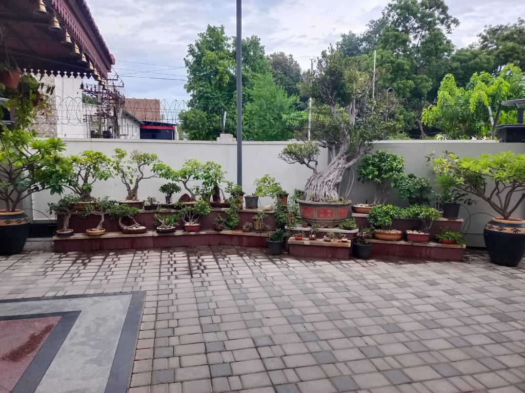 Drip Irrigation for Your Home Garden