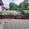 Drip Irrigation for Your Home Garden