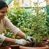 The Beginner’s Guide to watering your garden