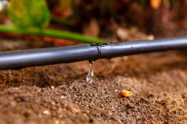 Irrigation pipe with emitter (16mm)