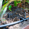 20mm and 4mm irrigation pipe connected to an adjustable dripper