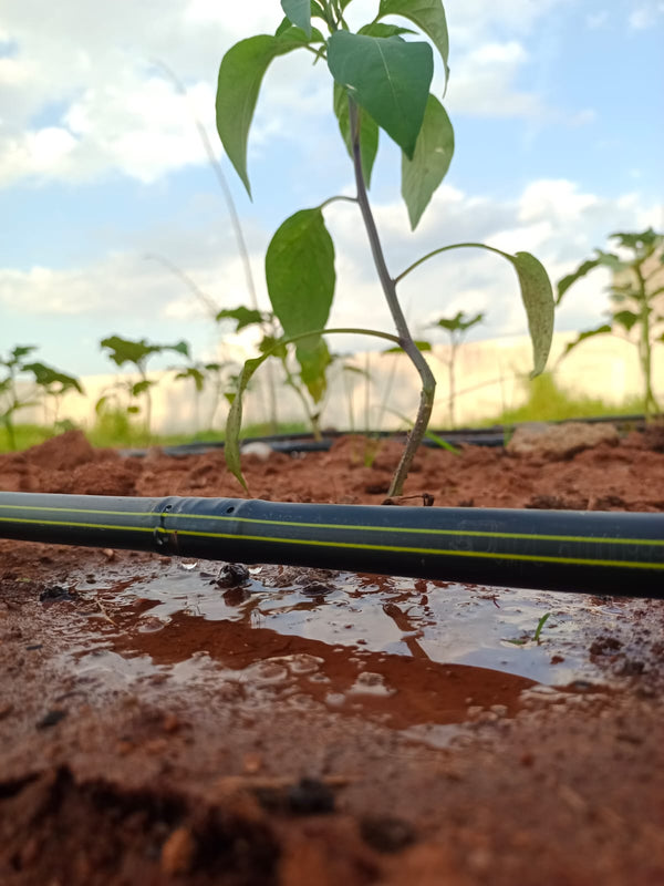 Irrigation pipe with emitter (12mm) | ISI certified