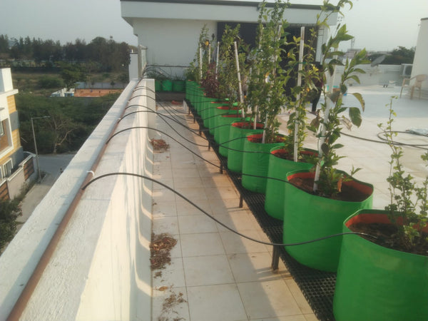 Drip Irrigation kit (Home garden)