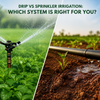 Drip Irrigation vs. Sprinkler Irrigation: Which System Is Right for You?