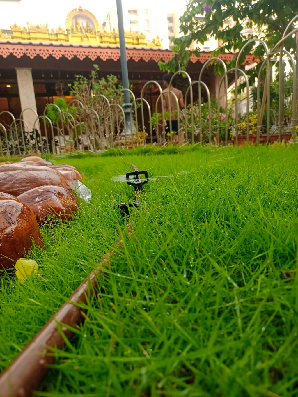 How to Set Up a Drip Irrigation System: Step-by-Step Installation Guide