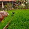 How to Set Up a Drip Irrigation System: Step-by-Step Installation Guide