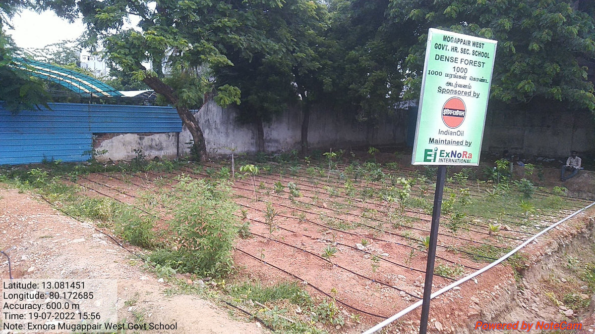 NGO & Social Impact Projects