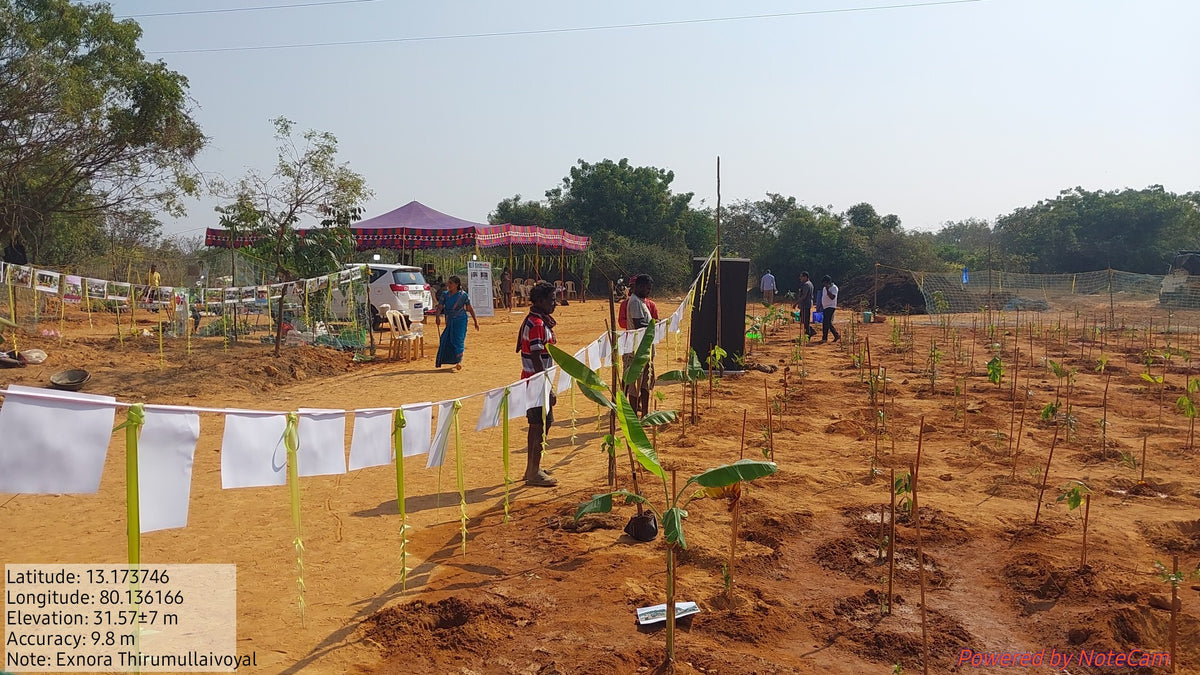 NGO & Social Impact Projects
