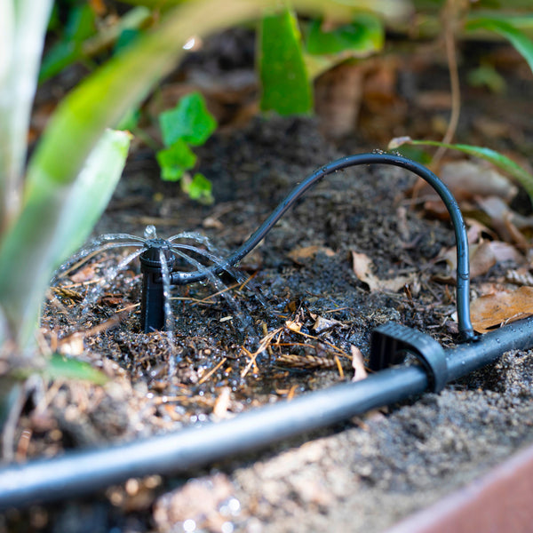 20mm and 4mm irrigation pipe connected to an adjustable dripper