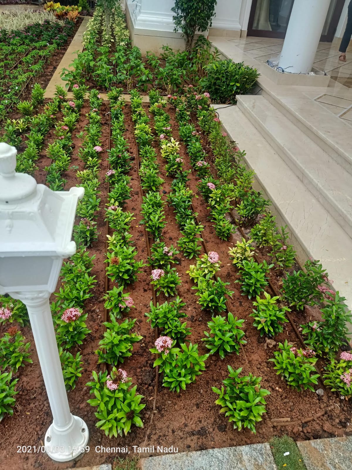 Home & Rooftop Gardens