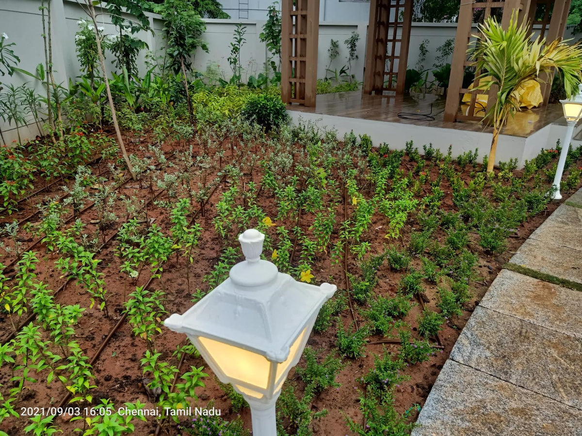 Home & Rooftop Gardens