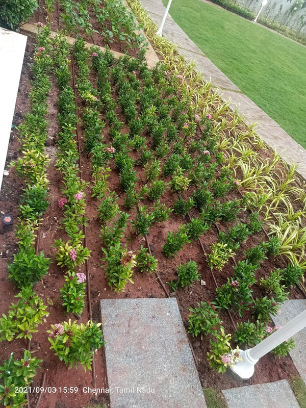 Landscaping irrigation tube (16mm brown)