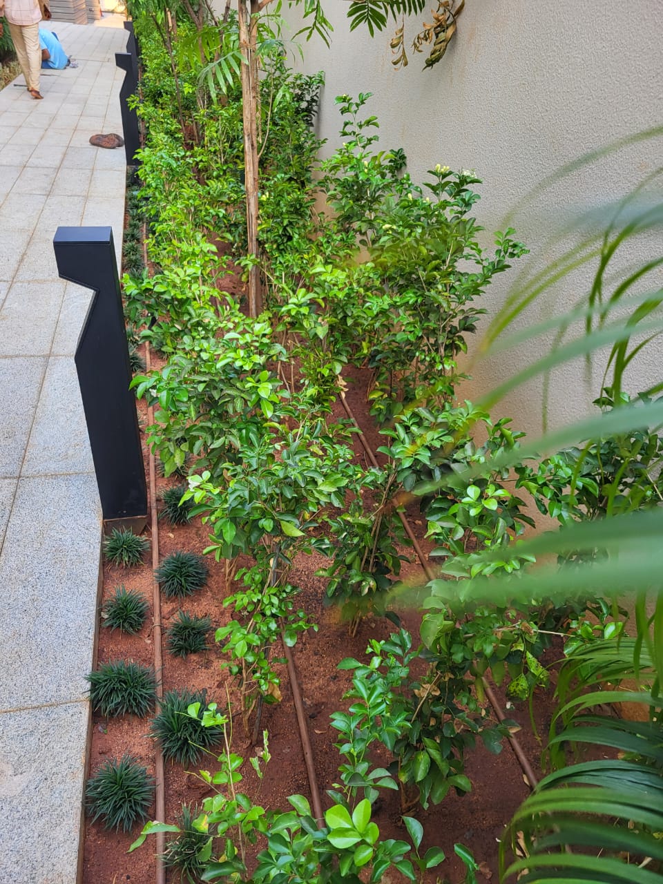 Home & Rooftop Gardens