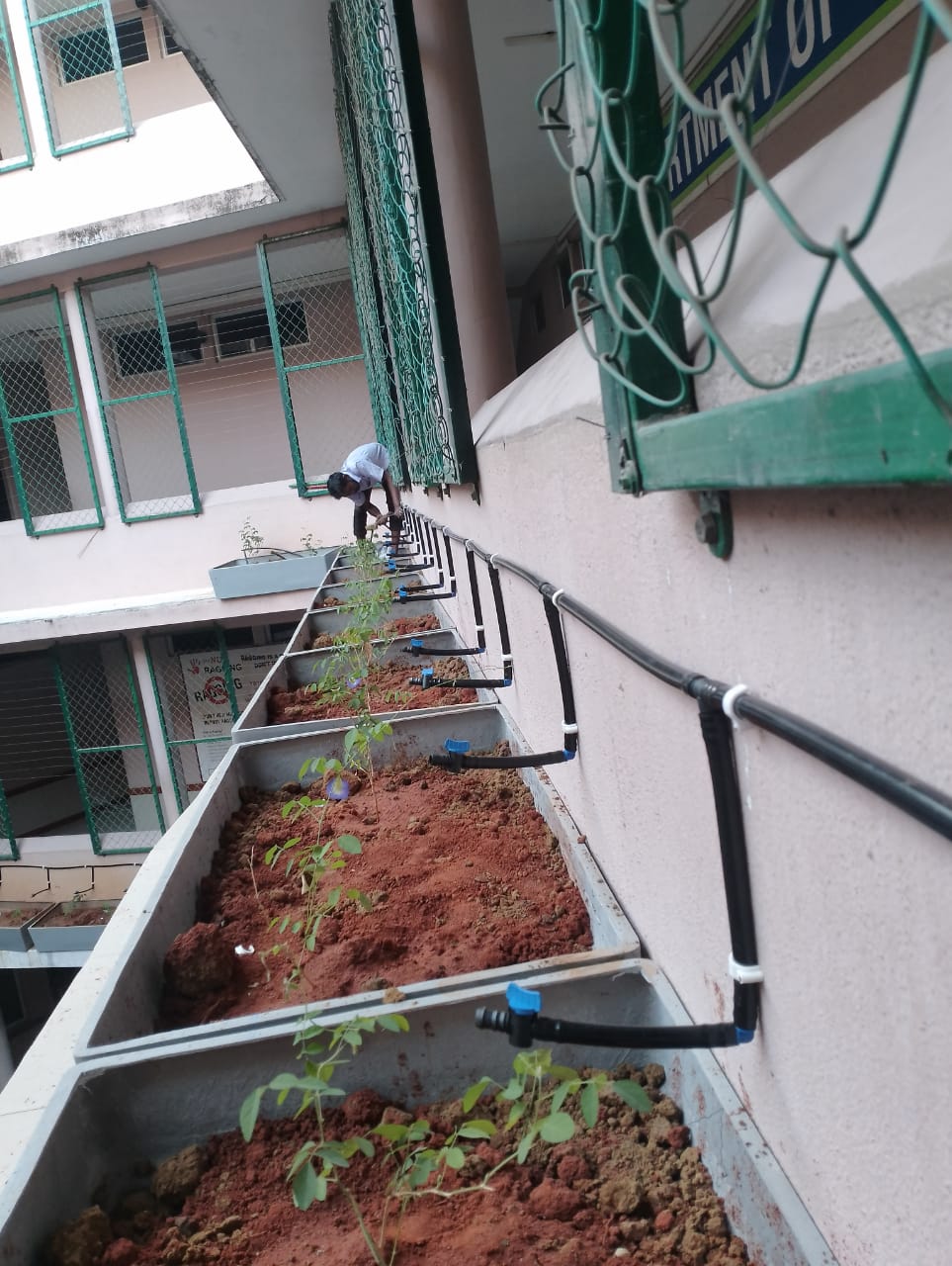 Government & Educational institutions