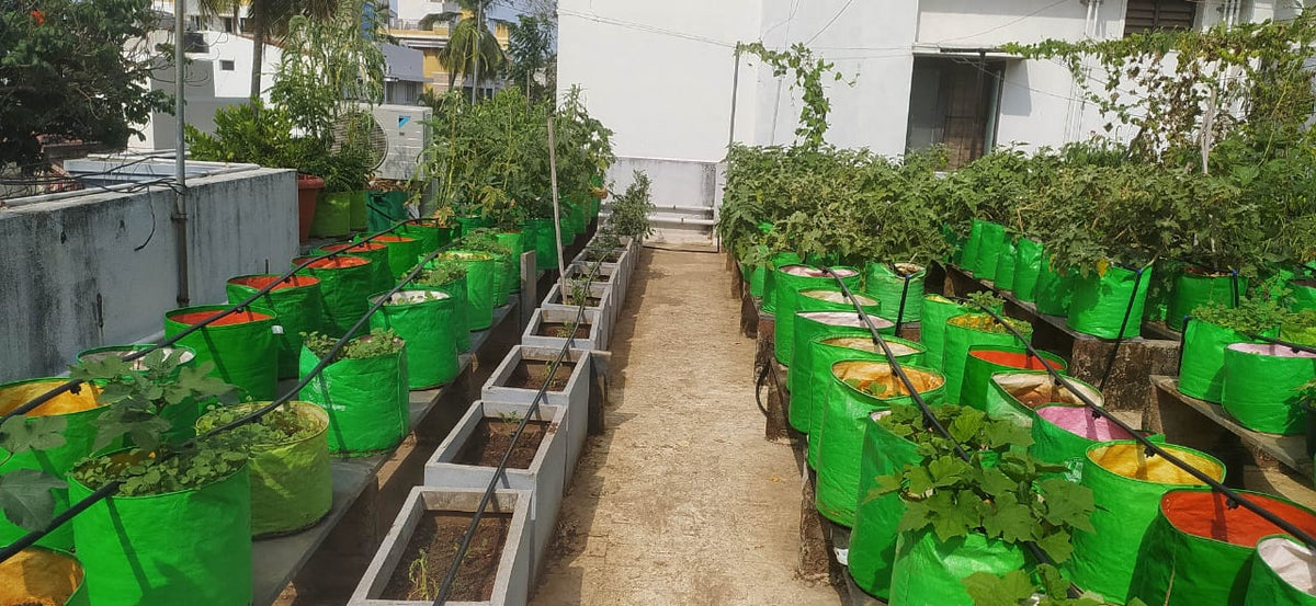 Home & Rooftop Gardens