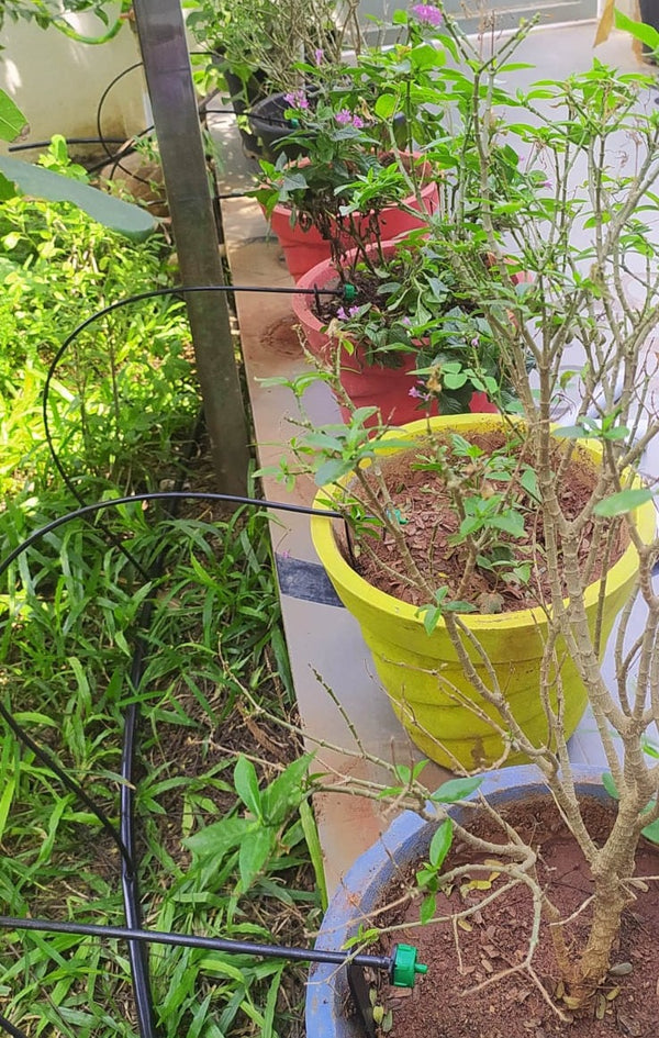 Drip Irrigation kit (Home garden)