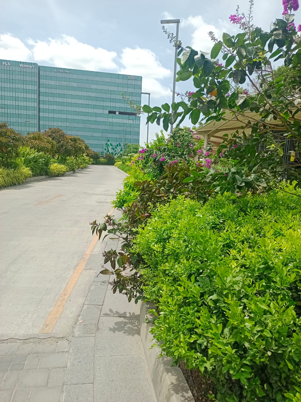 Major Commercial Projects