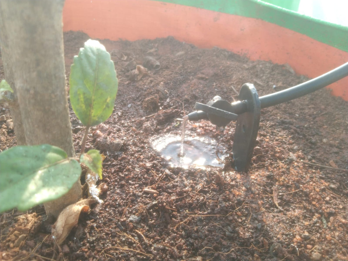 Home & Rooftop Gardens