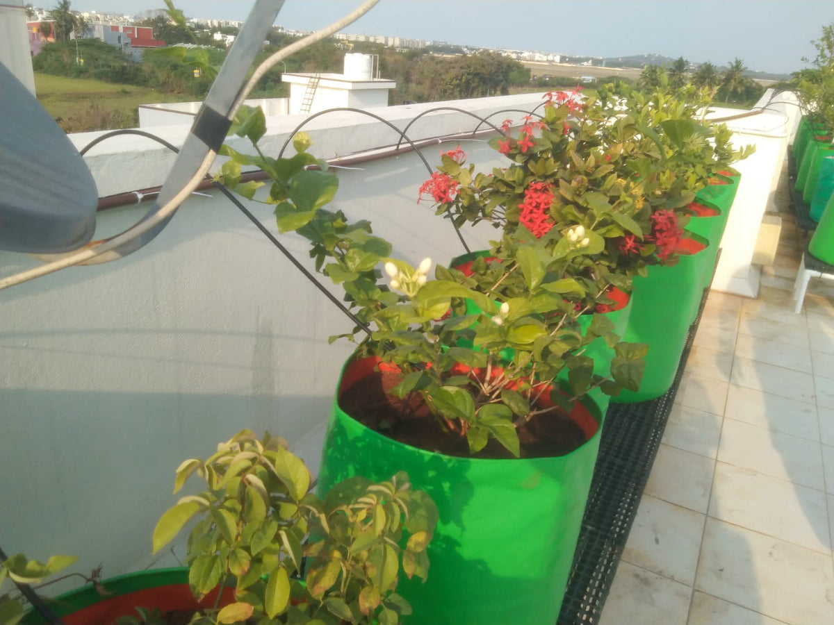 Home & Rooftop Gardens
