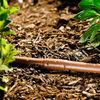 Landscaping irrigation tube (16mm brown)