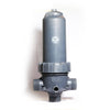 Water filter (screen filter)